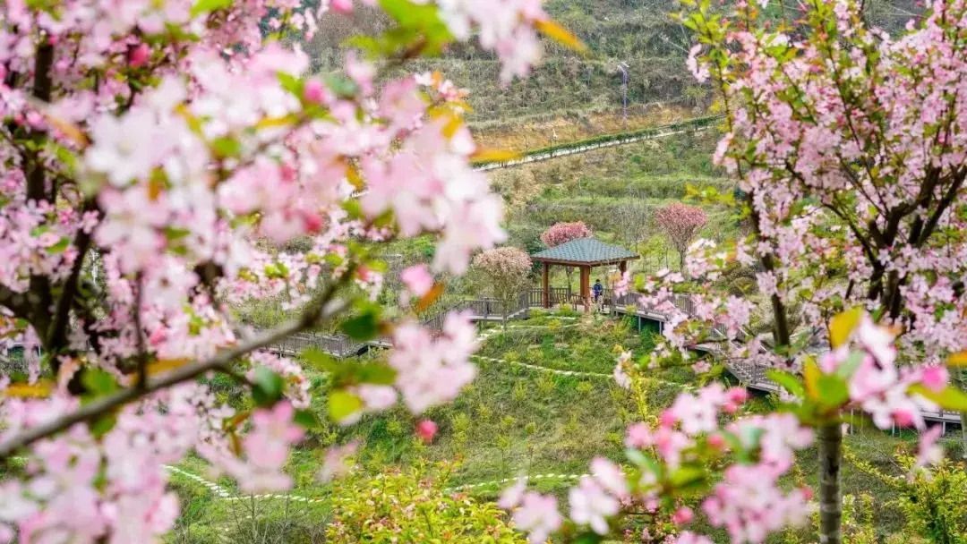 湖北英山四季花海拓展基地