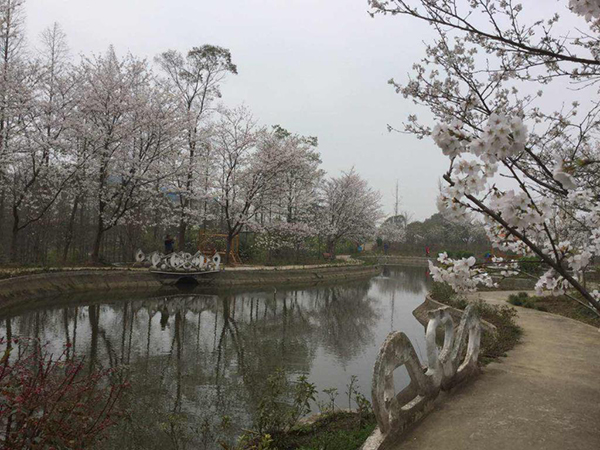 潛江百花島 荊楚快樂(lè)園 拓展基地