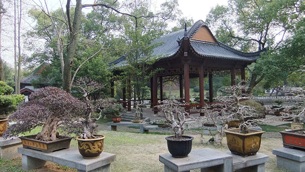 馬鞍山森林公園拓展基地